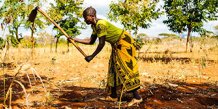 Foto fra Tearfund.com