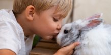 Foto Dreng og kanin